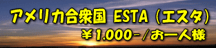 �A�����J�@ESTA�@�i����s�ē����̓A�����J���O���@�č��@USA�@�d�q�n�q�F�؃V�X�e���@ESTA�̎擾��s�Z���^�[�ł��B
